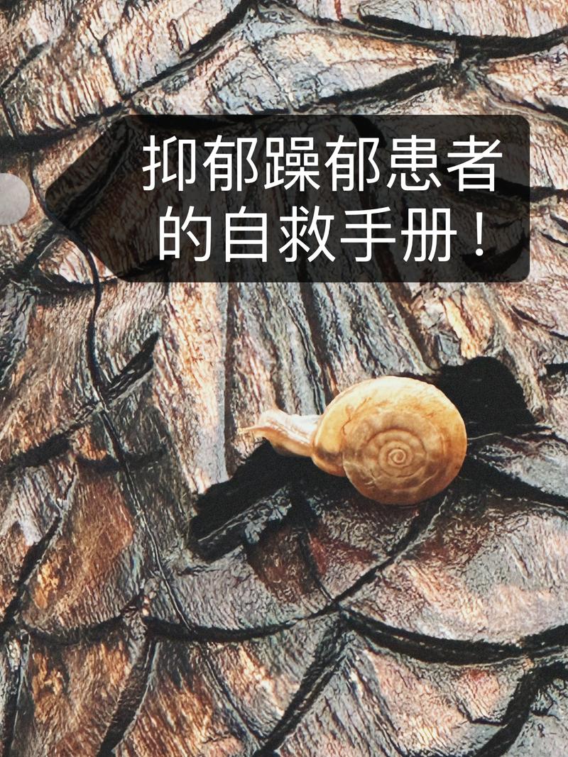 吴皓诚：新媒体时代的行业观察者